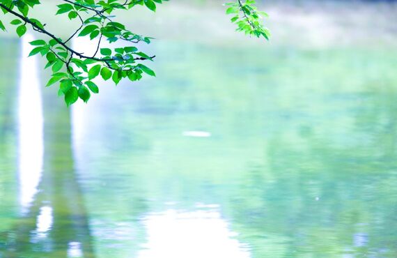 天草の整体院　くるみです。スポーツをしている方に多い捻挫の施術も行っています。野球、サッカー、バスケ、バレー